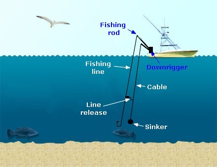 downrigger fishing diagram