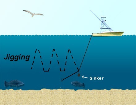 jigging line fishing diagram