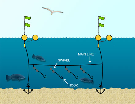 longline fishing diagram