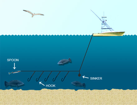 angling diagram